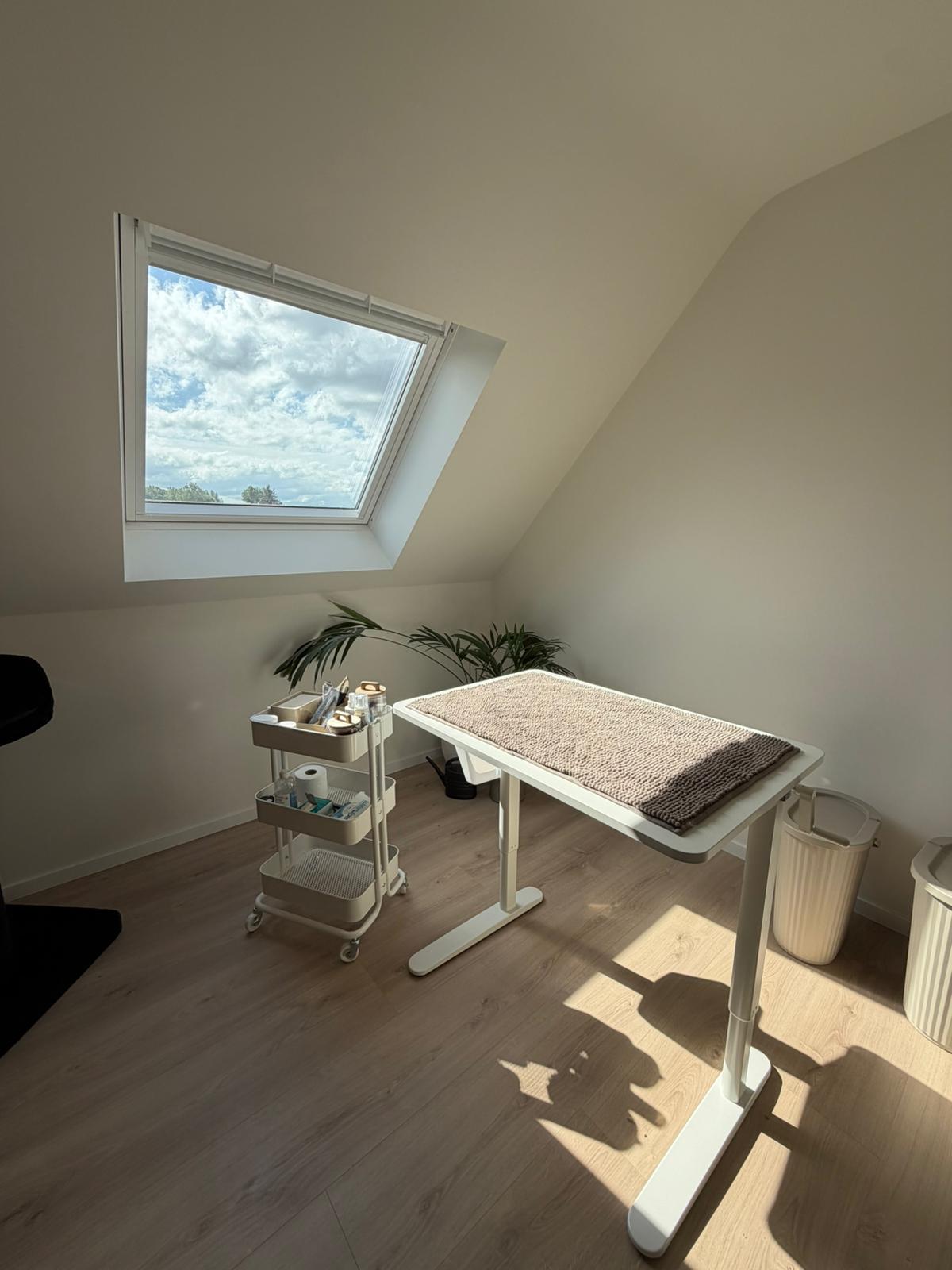 Sfeervolle inrichting van kattentrimsalon Studio Cats&Chlo